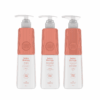 Nishlady Plaukų Botokso terapijos rinkinys, 3 x 503 ML